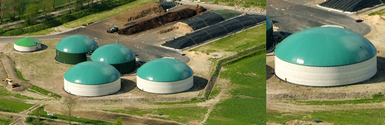 Vuoi aumentare gli insilati di cereali nell'impianto biogas?