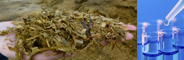 Clerici Biochimica: una garanzia!